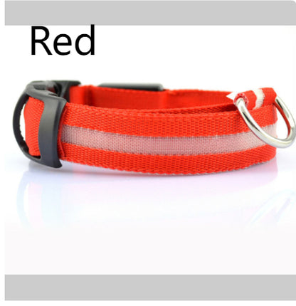 Safety Dog LED Collar