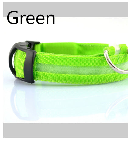 Safety Dog LED Collar