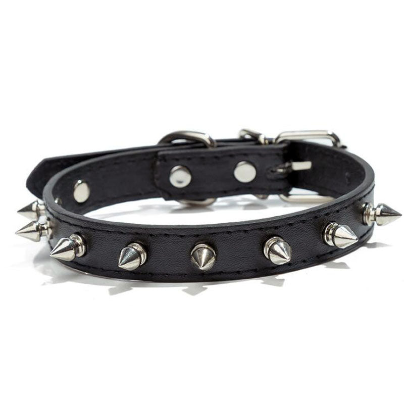 Pet with Multicolor Pu Leather Dog Collar