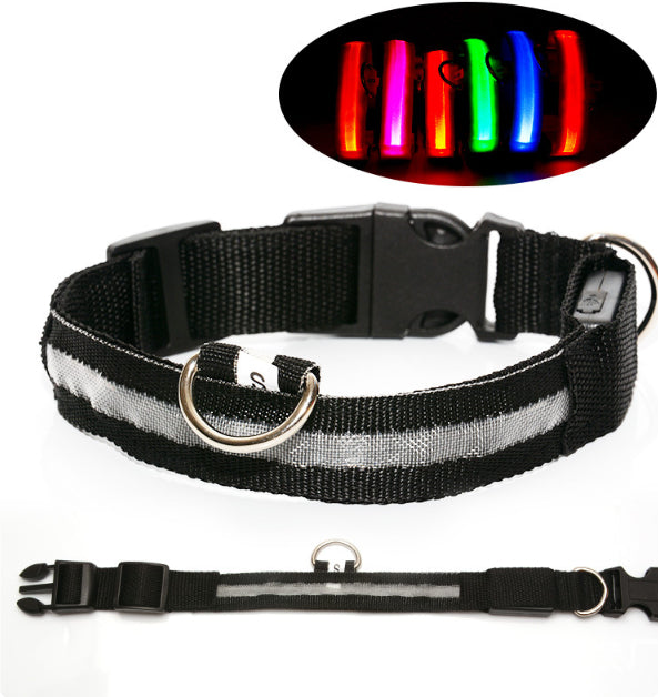 Safety Dog LED Collar