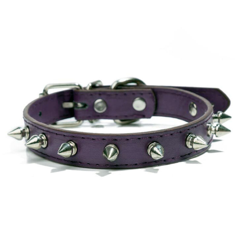 Pet with Multicolor Pu Leather Dog Collar