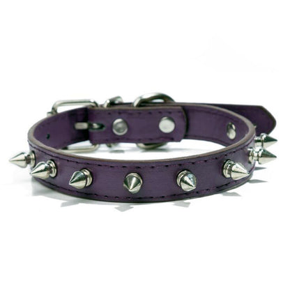 Pet with Multicolor Pu Leather Dog Collar